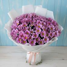 Букет цветов из:  Хризантемы #REPLACE_PRED# Весьегонске