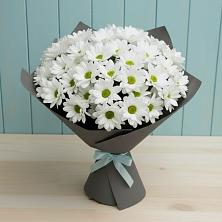 Букет цветов из:  Хризантемы в Весьегонске