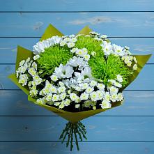 Букет скромность  в Весьегонске Букет цветов из:  Хризантемы в Весьегонске