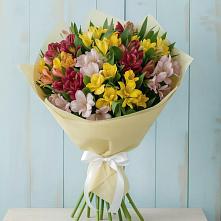 Букет цветов из:  Альстромерии #REPLACE_PRED# Весьегонске