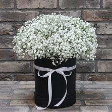 Цветочная композиция из Гипсофила в шляпной коробке в Весьегонске